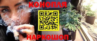 гидра Аргун